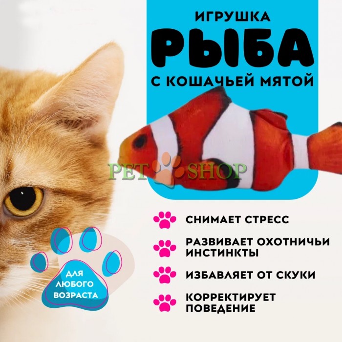 <p><strong>Игрушка "Рыба", L - 30 см, разные цвета</strong></p>