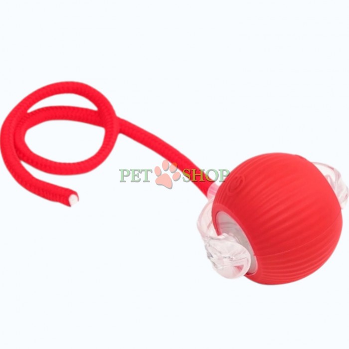 <p><strong>Интерактивная игрушка &laquo;Убегающий хвост&raquo; &mdash; </strong>это автоматическая добыча, которая двигается сама и вовлекает питомца в активную игру. Она надолго займет внимание кошки и удовлетворит ее природные инстинкты. В комплект входит USB кабель.</p>