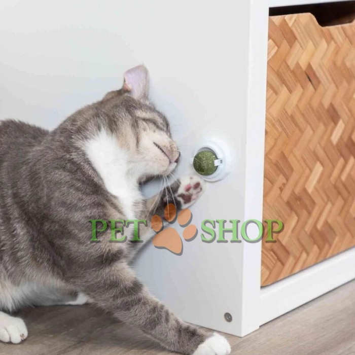 <p><strong>Jucarie cu suport autoadeziv pentru atasarea pe suprafete netede plastic/catnip</strong></p>