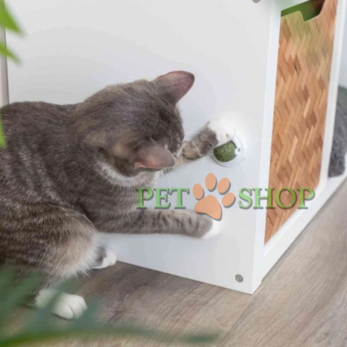 <p><strong>Jucarie cu suport autoadeziv pentru atasarea pe suprafete netede plastic/catnip</strong></p>