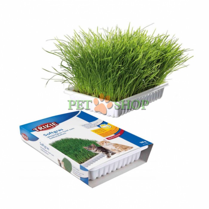 <p>Позволяет выращивать&nbsp;свою собственную траву</p>

<p>Идеально подходит для котят</p>

<p>Мягкая и богатая на витамины</p>

<p>Дает котам необходимую зелень</p>