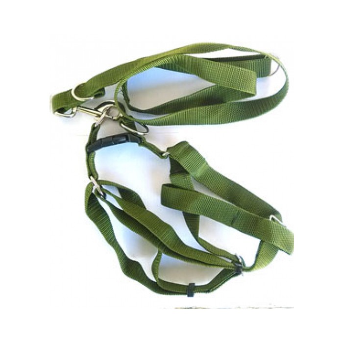 <p><strong>Поводок + Шлейка для собак,&nbsp;ширина - 2,5&nbsp;см, длина - 1,2 м</strong></p>