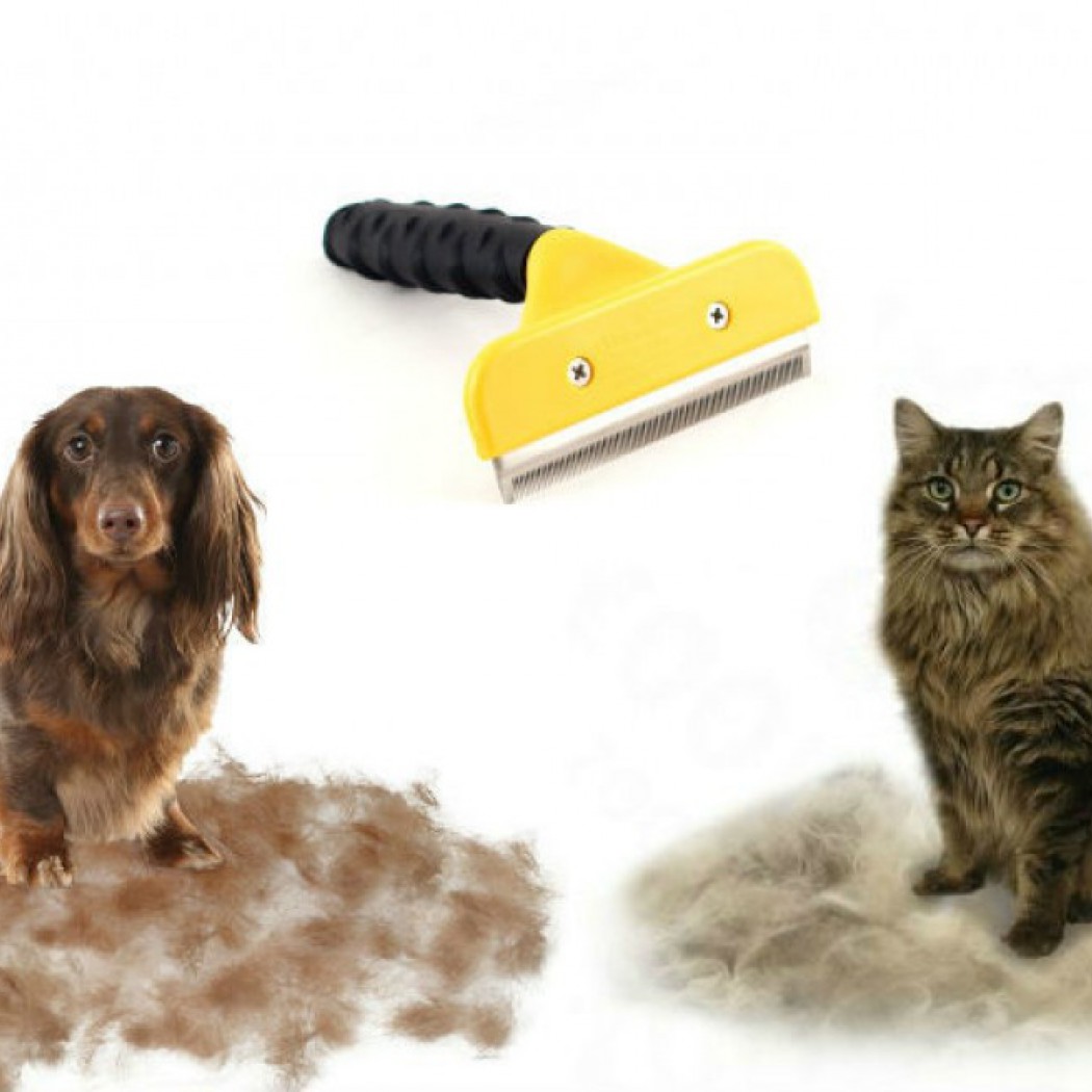 <p><strong>Фурминатор для собак &ndash; новое изобретение, помогающее вычесывать именно подшерсток. Он похож на расческу, но имеет стальное лезвие с зубчиками и резиновую ручку. Секрет заключается в уникальной конструкции лезвия с многочисленными прорезями, которое легко удаляет отмерший подшерсток, не повреждая волос.</strong></p>