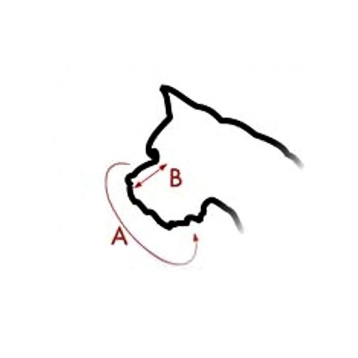 <p><strong>Botniță câine metalic COLLAR №9 pentru rottweiler, bullmastiff</strong><strong>, A: 39 cm, B: 8 cm.</strong></p>