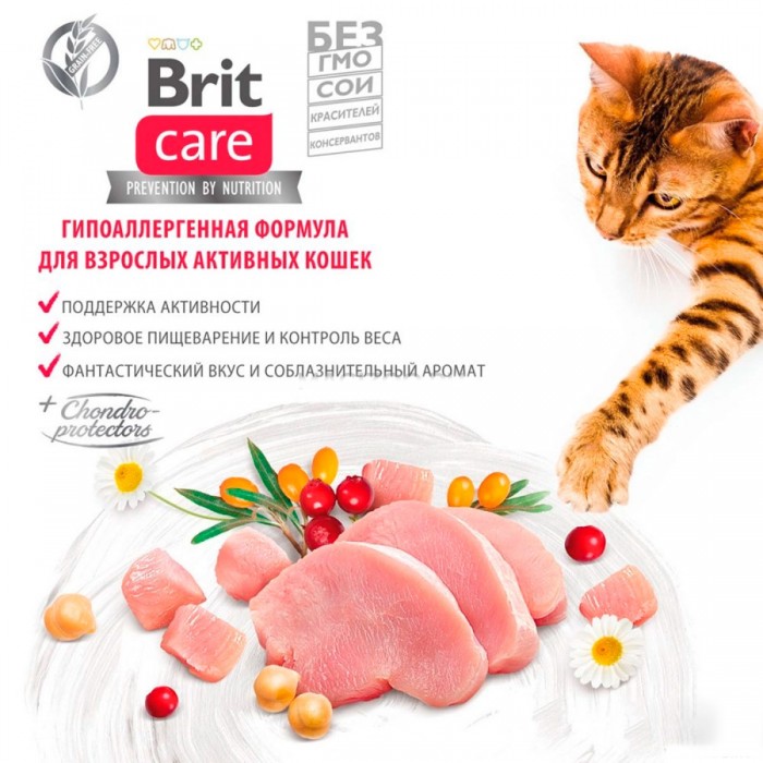 <p><strong>Гипоаллергенная беззерновая рецептура на основе высококачественных белков, которые помогают сохранять мышцы сильными и стройными</strong></p>