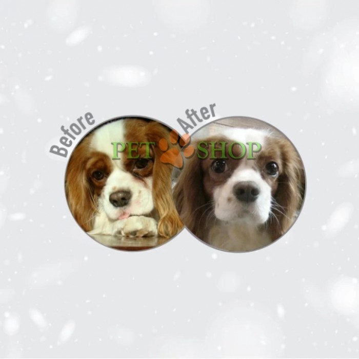 <p><strong>В основе корма &ndash; высокоэффективная инновационная формула, помогающая усилить и поддержать интенсивность красного пигмента шерсти, а также питающая кожу и шерсть домашнего животного изнутри.</strong></p>