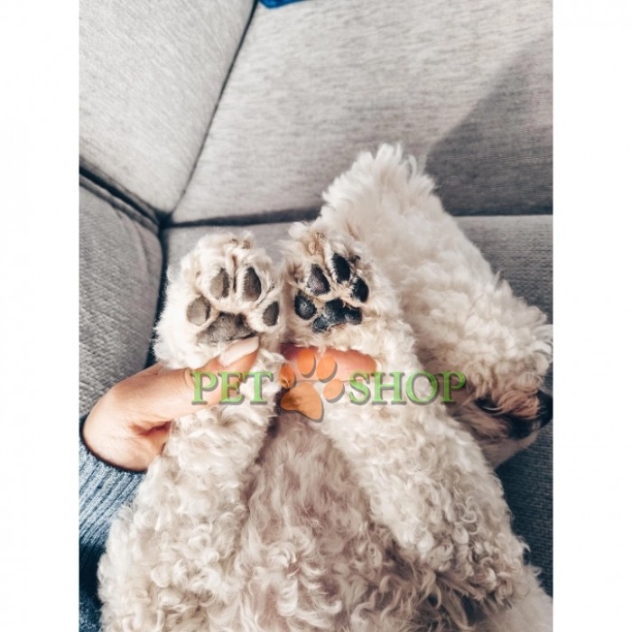 <p><strong>Бальзам &bdquo;Tauro Pro Line Pure Protecting Paw&ldquo; обеспечивает эффективную защиту подушечек лап питомца круглый год &ndash; защищает от вредных факторов окружающей среды (раскаленный асфальт, песок, соли), увлажняет кожу и укрепляет ее защитный барьер.</strong></p>