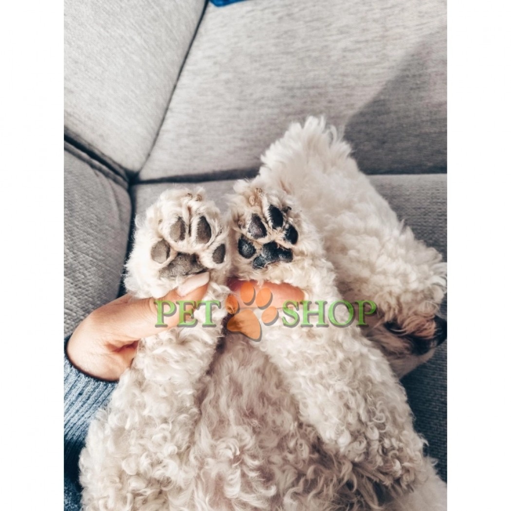 <p><strong>Бальзам &bdquo;Tauro Pro Line Pure Protecting Paw&ldquo; обеспечивает эффективную защиту подушечек лап питомца круглый год &ndash; защищает от вредных факторов окружающей среды (раскаленный асфальт, песок, соли), увлажняет кожу и укрепляет ее защитный барьер.</strong></p>