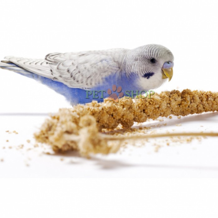 <p><strong>Это прекрасное лакомство с любимыми семенами для волнистых попугаев, корелл и амадин. Не только вкусно, но и полезно. Богато аминокислотами и витаминам.&nbsp;</strong></p>