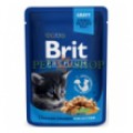 Brit Premium Cat 100 gr