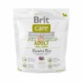 Brit Care Adult Small Breed Lamb, Rice 1 kg