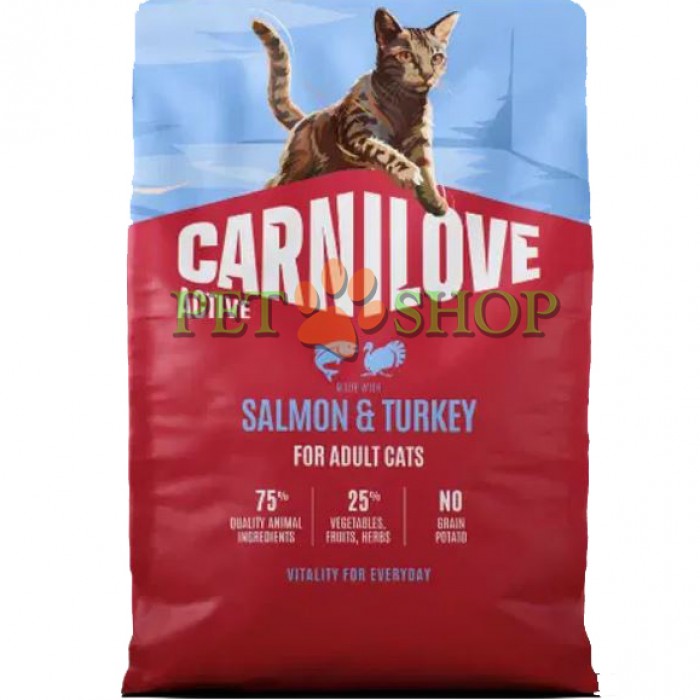 <p><strong>Hrană completă ACTIVE, fără cereale și cartofi, pentru pisici adulte, cu somon și curcan, destinată pisicilor adulte de toate rasele. -</strong>&nbsp;<strong>Carne proaspătă și organe&nbsp;-&nbsp;Fără carne și grăsime de pui -</strong><strong>&nbsp;Fără cereale.</strong></p>