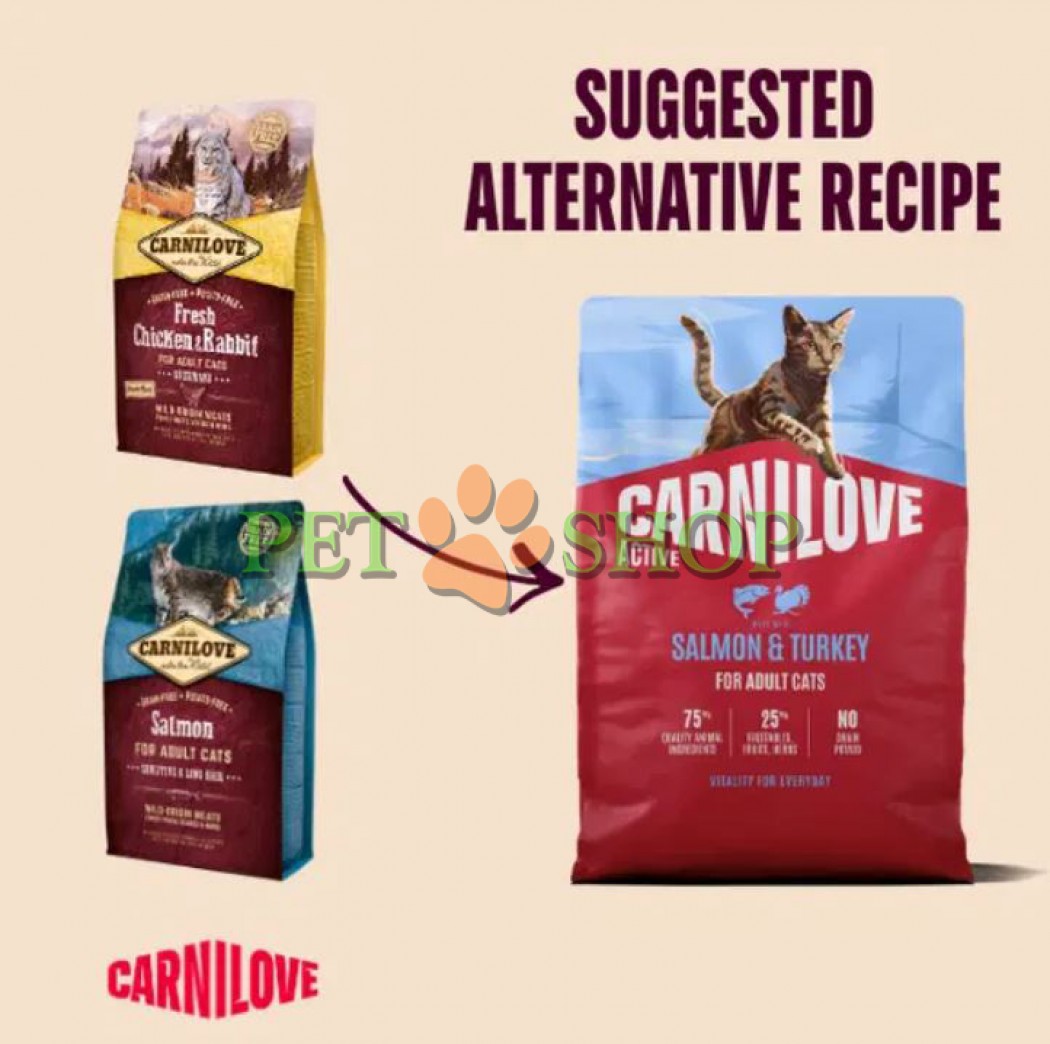 <p><strong>Hrană completă ACTIVE, fără cereale și cartofi, pentru pisici adulte, cu somon și curcan, destinată pisicilor adulte de toate rasele. -</strong>&nbsp;<strong>Carne proaspătă și organe&nbsp;-&nbsp;Fără carne și grăsime de pui -</strong><strong>&nbsp;Fără cereale.</strong></p>