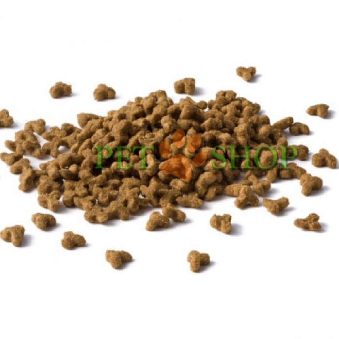 <p><strong>Высокий уровень содержания питательных и биологически активных веществ удовлетворяет потребности котят в период интенсивного роста (от 1 до 12 месяцев), а также взрослых кошек в период беременности и лактации.</strong></p>