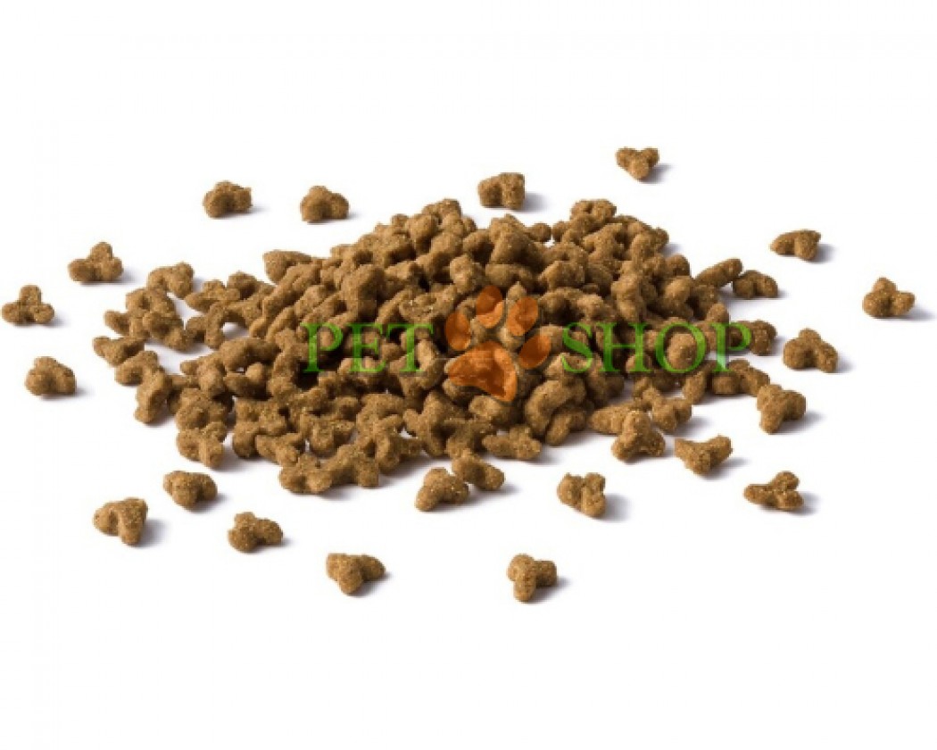 <p><strong>Высокий уровень содержания питательных и биологически активных веществ удовлетворяет потребности котят в период интенсивного роста (от 1 до 12 месяцев), а также взрослых кошек в период беременности и лактации.</strong></p>