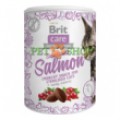 Brit Care Cat Snack Superfruits Salmon 100 gr