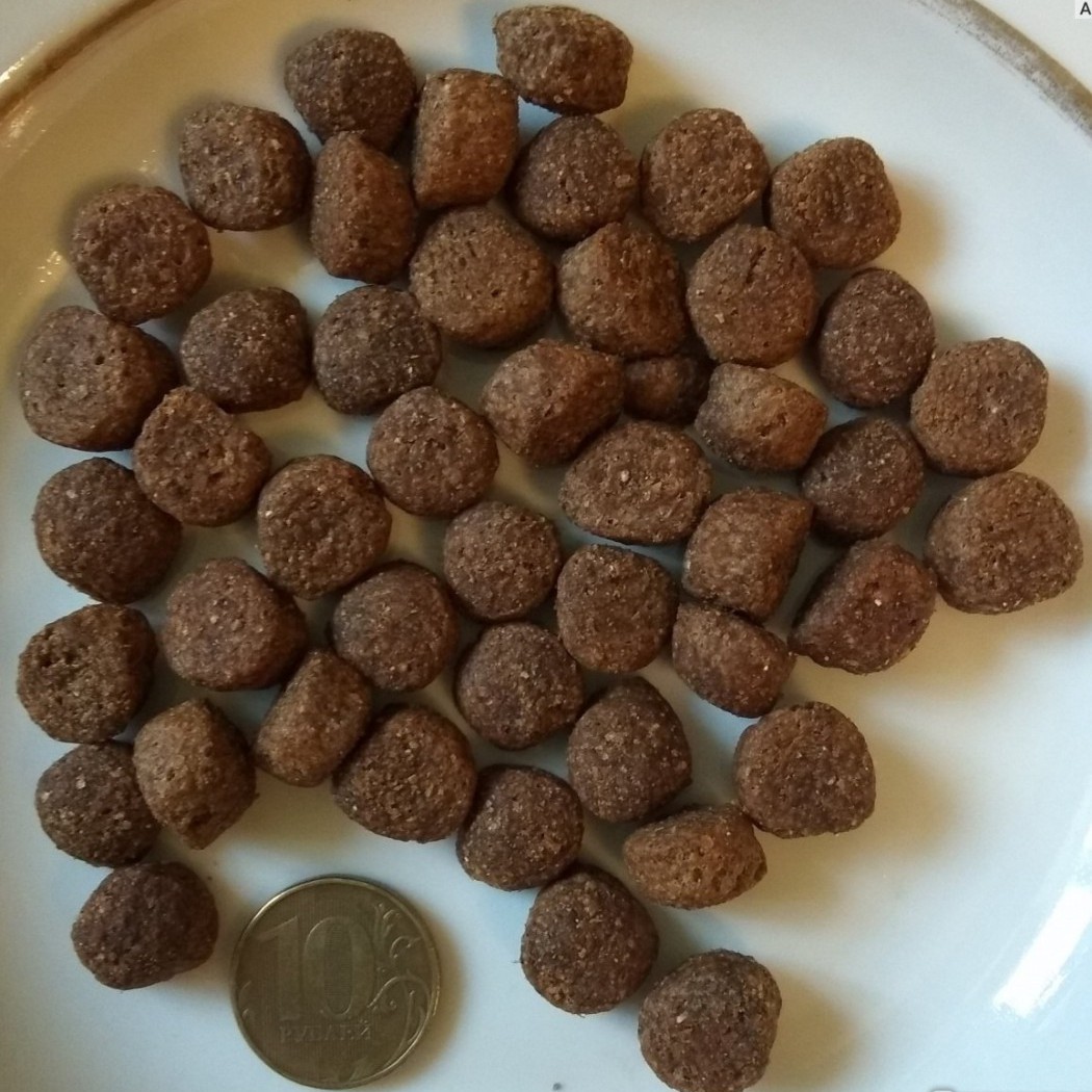 <p><strong>Полнорационный сухой корм Brit Premium by Nature Adult M с курицей для взрослых собак средних пород (10&ndash;25 кг) 15 кг&nbsp;</strong></p>