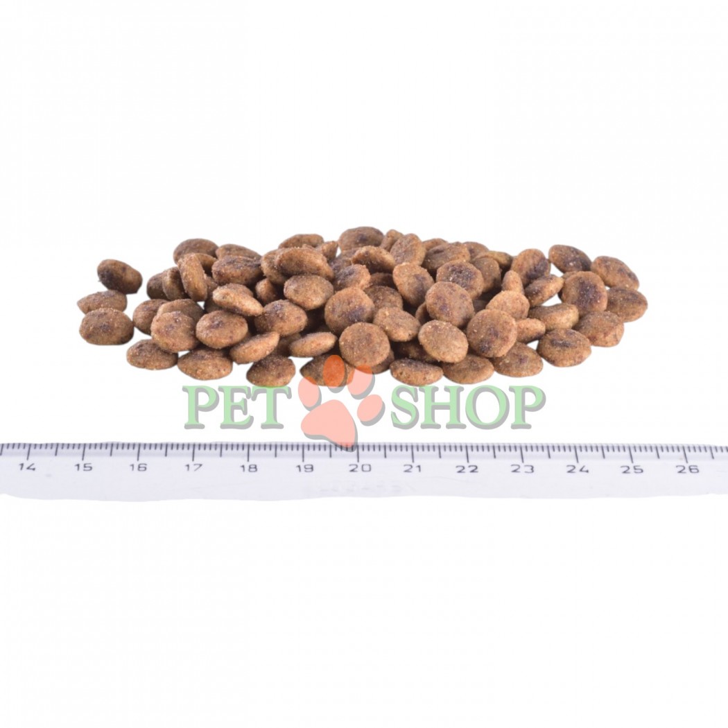 <p><strong>Brit GF Veterinary Diet Hypoallergenic</strong>&nbsp;&mdash;&nbsp;dietă completă și echilibrată, hipoalergenică, destinată pisicilor cu probleme dermatologice și gastrointestinale cauzate de reacții adverse la alimente (alergii alimentare / intoleranță alimentară).</p>