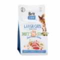 Brit Care Cat Grain-Free Large Cats power and vitality 2 kg