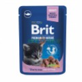 Brit Premium Cat 100 gr