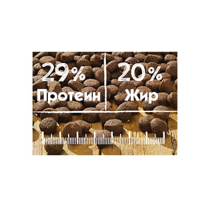 <p><strong>Belcando Finest Croc 4 kg&nbsp;- сухой корм супер-премиум класса для привередливых мелких и средних&nbsp;собак.</strong></p>