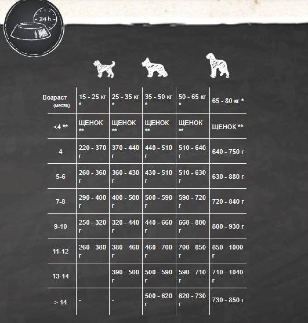 <p><strong>Belcando Junior Lamb, Rice 12.5 kg - Гипоаллергенный корм супер-премиум класса для щенков всех пород с ягненком и рисом</strong></p>