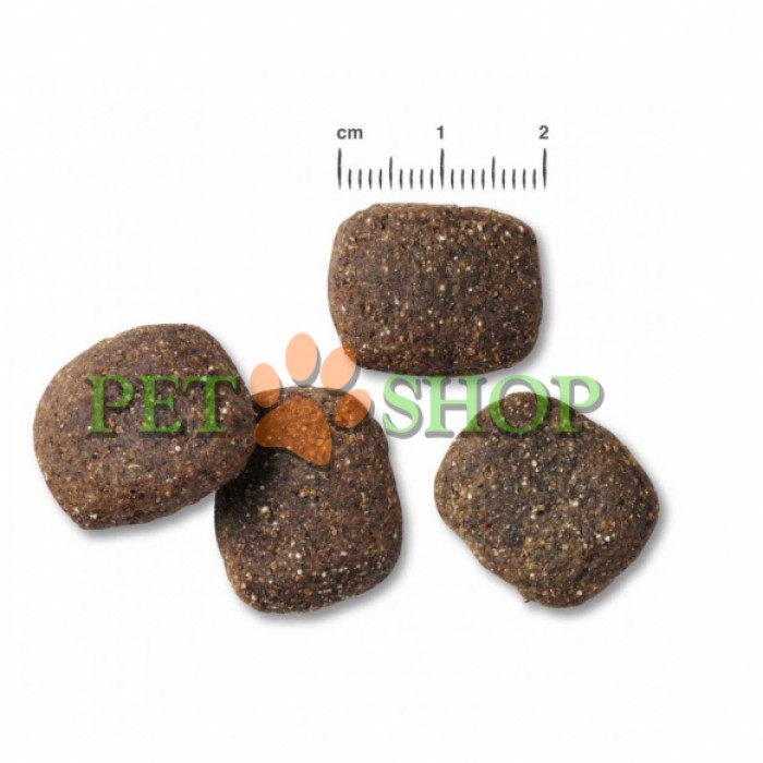 <p><strong>Alergiile și intoleranțele alimentare sunt frecvente la c&acirc;ini. Acestea se manifestă prin simptome precum m&acirc;ncărime, probleme ale pielii și blănii, diaree sau vărsături.</strong></p>