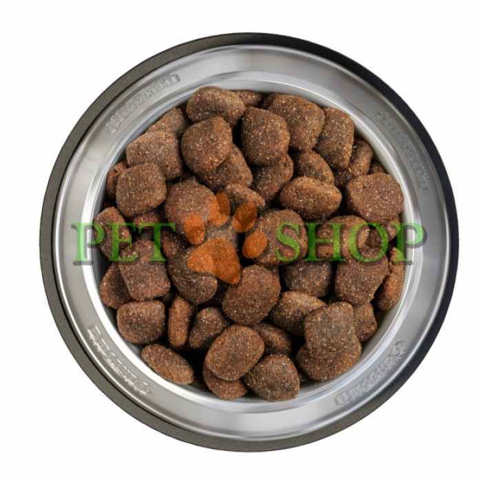 <p><strong>Alergiile și intoleranțele alimentare sunt frecvente la c&acirc;ini. Acestea se manifestă prin simptome precum m&acirc;ncărime, probleme ale pielii și blănii, diaree sau vărsături.</strong></p>