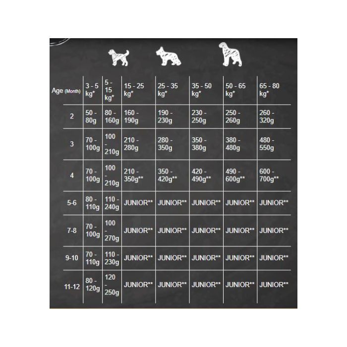 <p><strong>Belcando Puppy Gravy 4&nbsp;кг - сухой корм супер-премиум класса для Щенков, Беременных и Кормящих Собак.</strong></p>