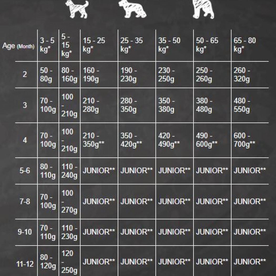 <p><strong>Belcando Puppy Gravy 4&nbsp;кг - сухой корм супер-премиум класса для Щенков, Беременных и Кормящих Собак.</strong></p>