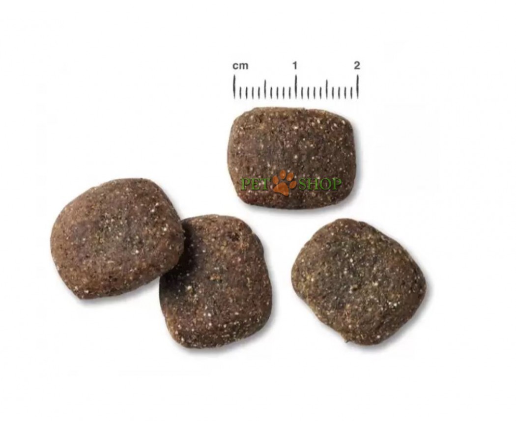 <p><strong>Belcando Adult Active для Сухой корм для взрослых активных собак</strong></p>