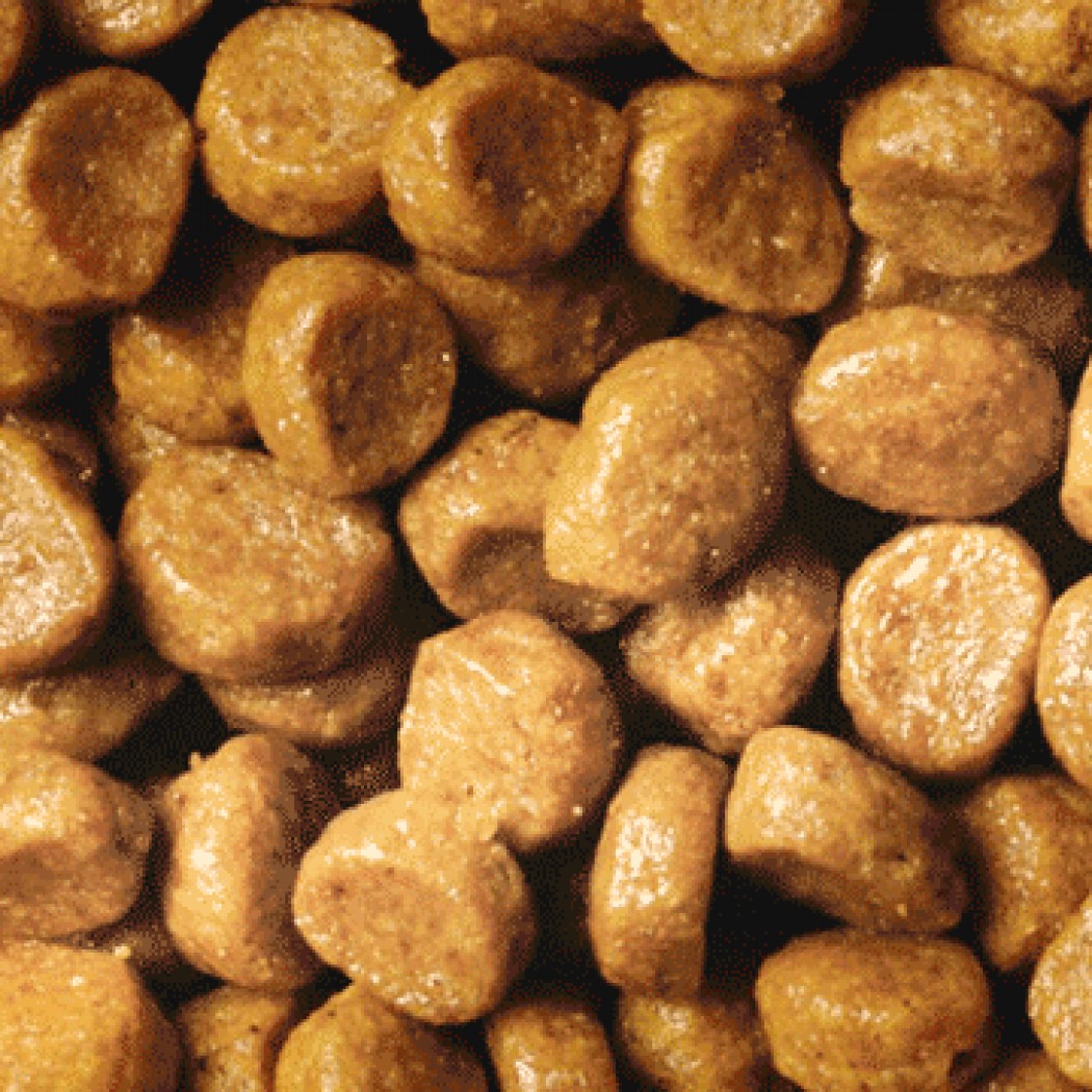 <p><strong>Pro Plan ORIGINAL KITTEN Сухой корм для котят, с курицей, 10 кг&nbsp;</strong></p>