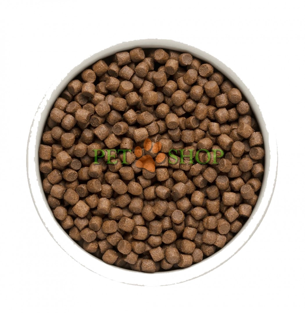 <p><strong><em>Grandorf Lamb & Rice Adult Mini</em>&nbsp;- p</strong>entru c&acirc;ini adulți de talie mică, cu activitate normală, digestie sensibilă sau cu tendință la alergii<strong>.</strong></p>