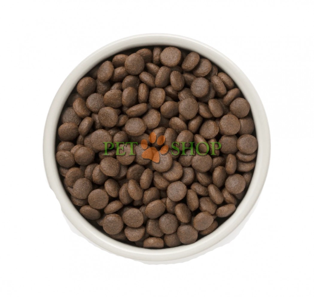 <p><strong>Grandorf 4 Meat Recipe Adult Medium & Maxi Breeds&nbsp;&ndash; сухой гипоаллергенный корм, холистик класса взрослых собак&nbsp;средних и крупных пород с мясом ягненка, индейки, дикого кабана, утки с бурым рисом и пробиотиком.</strong></p>