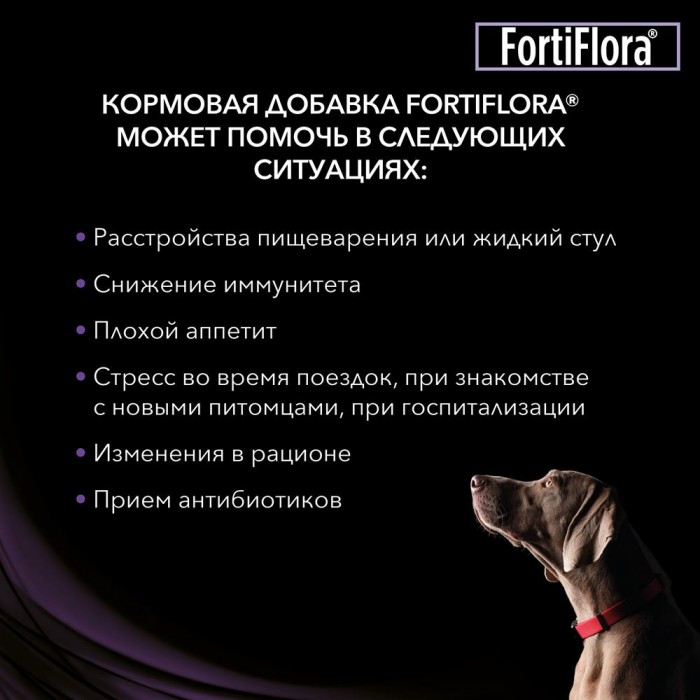 <p><strong>Supliment alimentar veterinar pentru problemele gastrointestinale ale câinilor și cățeilor, cu bacterii probiotice benefice pentru sănătatea tractului digestiv & întărirea sistemului imunitar, 1 pliculet*1 gr</strong></p>