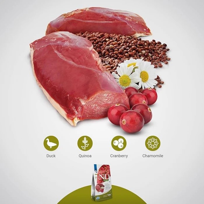 <p><strong>ND Cat Quinoa Urinary Duck,&nbsp;Cranberry&nbsp;</strong><strong> Adult&nbsp; - </strong>hrană completă fără cereale pentru pisici adulte de toate rasele. Formulă specială pentru susținerea sănătății tractului urinar și prevenirea urolitiazei.</p>