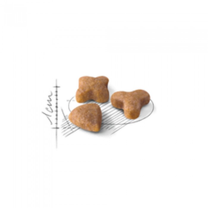 <p><strong>Корм сухой полнорационный сбалансированный для взрослых кошек (в возрасте старше 1 года) с чувствительной пищеварительной системой</strong></p>