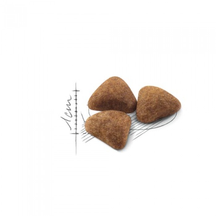 <p><strong>Hrană echilibrată și completă, special creată pentru pisicile adulte cu v&acirc;rsta cuprinsă &icirc;ntre 1 și 7 ani, ce trăiesc exclusiv &icirc;n casă.</strong></p>