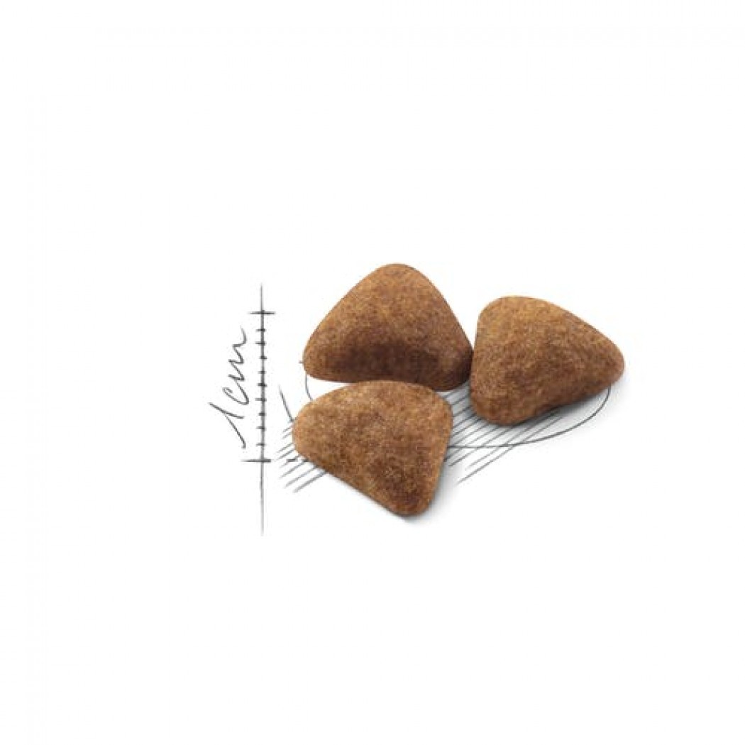 <p><strong>Hrană echilibrată și completă, special creată pentru pisicile adulte cu v&acirc;rsta cuprinsă &icirc;ntre 1 și 7 ani, ce trăiesc exclusiv &icirc;n casă.</strong></p>