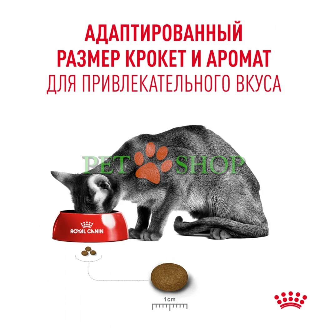 <p><strong>Royal Canin&nbsp;Fussy&nbsp;Exigent - корм для кошек, привередливых к ВКУСУ продукта 400 грамм</strong></p>