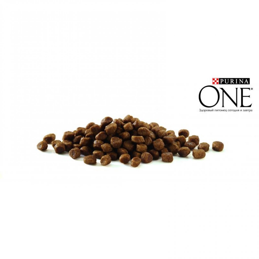 <p><strong>Корм для взрослых кошек&nbsp;Purina One Adult Cat&nbsp;с курицей и злаками идеально подходит для домашних питомцев, за счет своего сбалансированного состава сохраняя и поддерживая их здоровье и хорошее самочувствие.</strong></p>