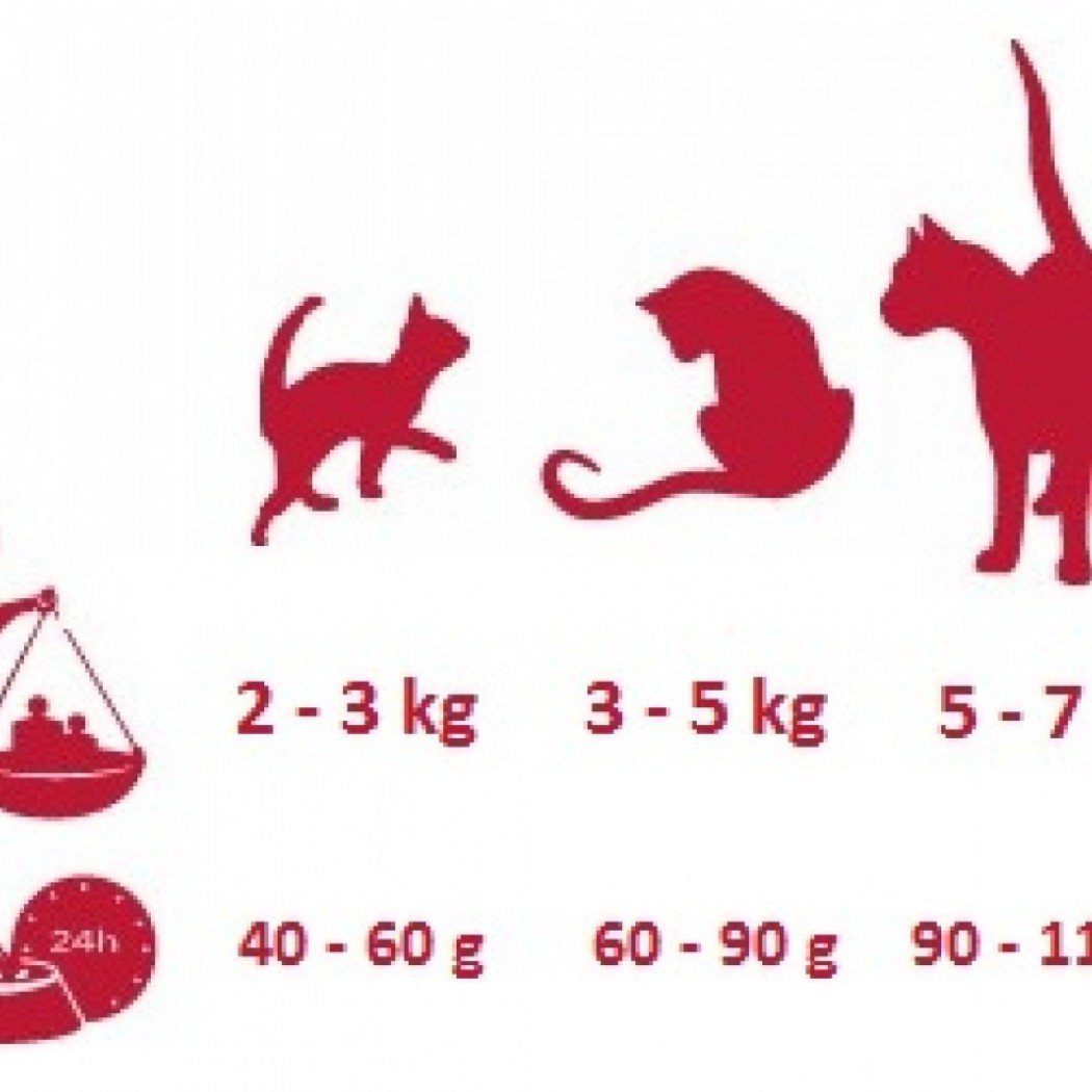 <p><strong>Сухой корм на основе мяса домашней птицы (курица, утка, индейка)</strong></p>