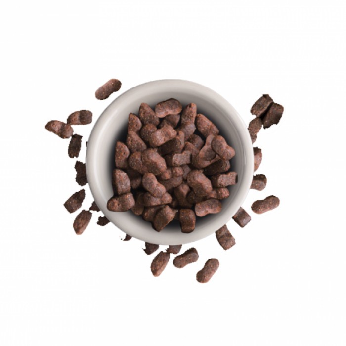 <p><strong>Корм Leonardo Adult Maxi Croc удовлетворяет потребность в питательных веществах и отвечает особым требованиям к размеру кусочков для крупных кошек, например, для норвежских лесных кошек и кошек Мейн-кун, 1 кг на развес.</strong></p>