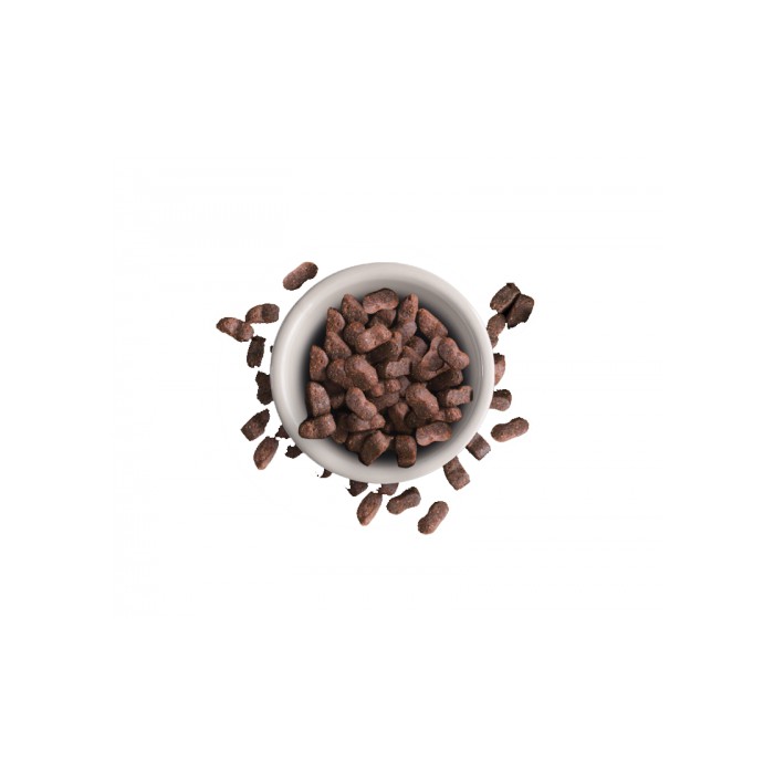 <p><strong>Корм Leonardo Adult Maxi Croc удовлетворяет потребность в питательных веществах и отвечает особым требованиям к размеру кусочков для крупных кошек, например, для норвежских лесных кошек и кошек Мейн-кун.&nbsp;</strong></p>