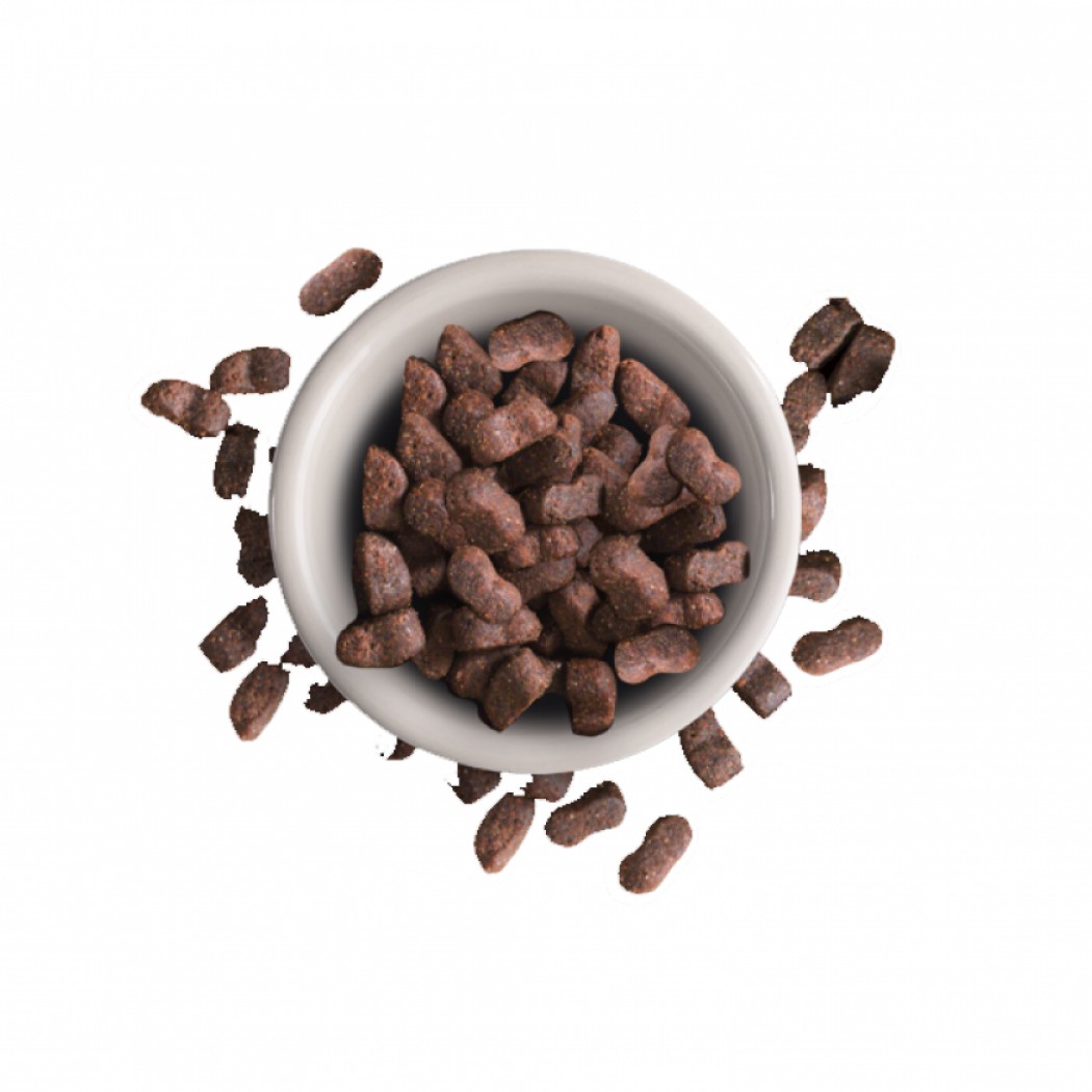 <p><strong>Корм Leonardo Adult Maxi Croc удовлетворяет потребность в питательных веществах и отвечает особым требованиям к размеру кусочков для крупных кошек, например, для норвежских лесных кошек и кошек Мейн-кун.&nbsp;</strong></p>