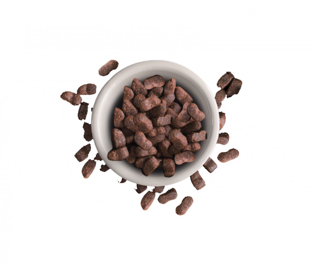 <p><strong>Корм Leonardo Adult Maxi Croc удовлетворяет потребность в питательных веществах и отвечает особым требованиям к размеру кусочков для крупных кошек, например, для норвежских лесных кошек и кошек Мейн-кун.&nbsp;</strong></p>