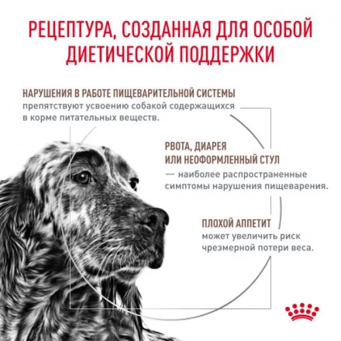 <p>Royal Canin Gastrointestinal Moderate Calorie Dog -&nbsp;hrană specializată pentru susținerea digestiei &icirc;n caz de afecțiuni intestinale și pancreatice.</p>