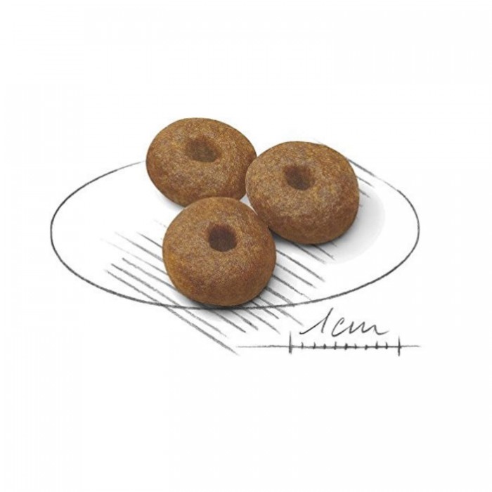 <p><strong>Корм сухой Royal Canin "Maxi Starter" для щенков крупных размеров в период отъема до 2-месячного возраста, для собак в последней трети беременности и во время лактации.</strong></p>