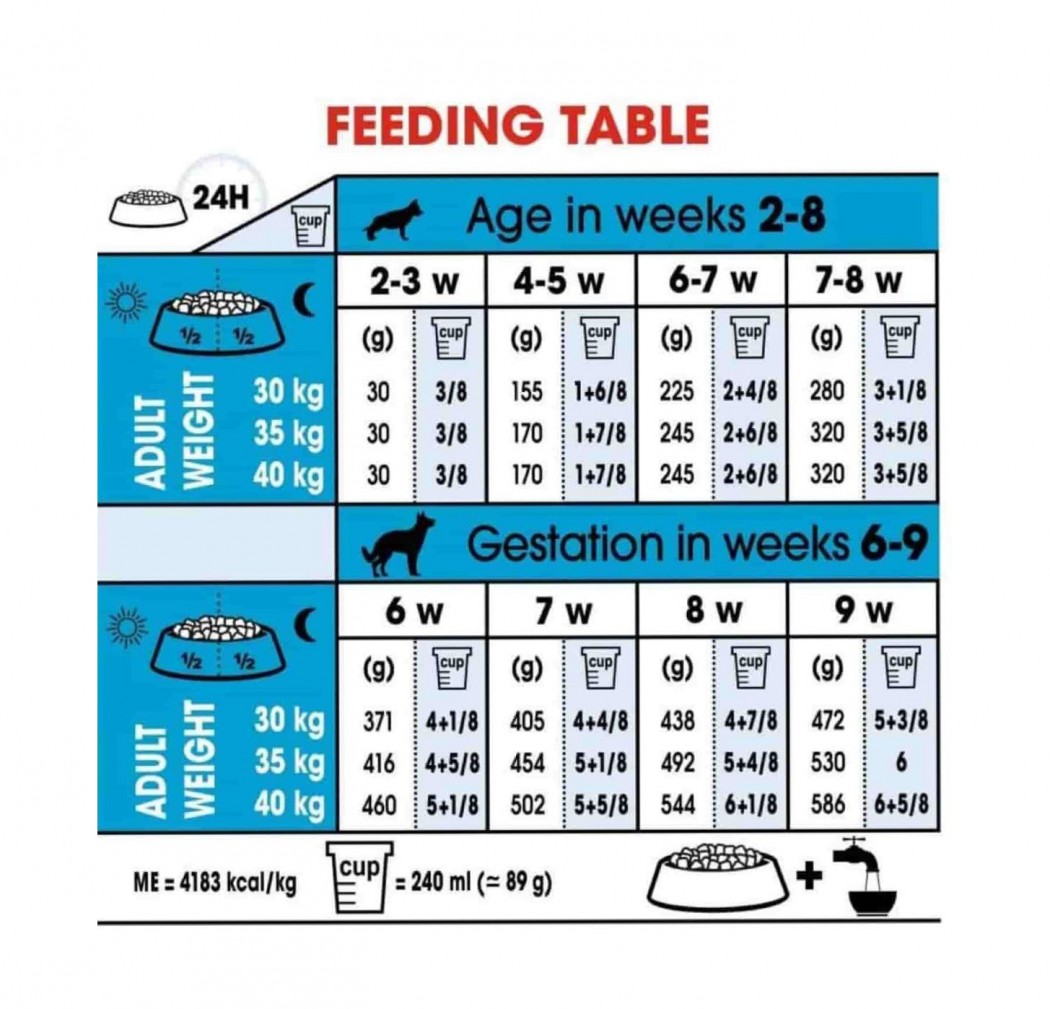 <p><strong>Корм сухой Royal Canin "Maxi Starter" для щенков крупных размеров в период отъема до 2-месячного возраста, для собак в последней трети беременности и во время лактации.</strong></p>