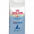 Royal Canin Maxi Starter 18 kg